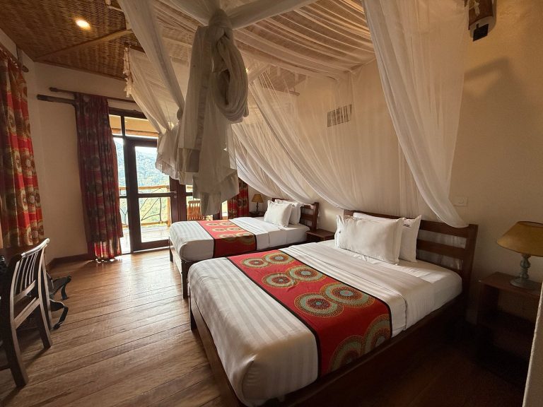 Ichumbi Gorilla Lodge or Buhoma Haven Lodge