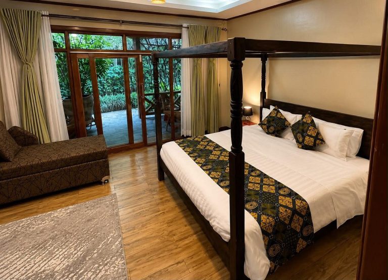 Tiloreza Volcanoes Ecolodge or Da Vinci Gorilla Lodge