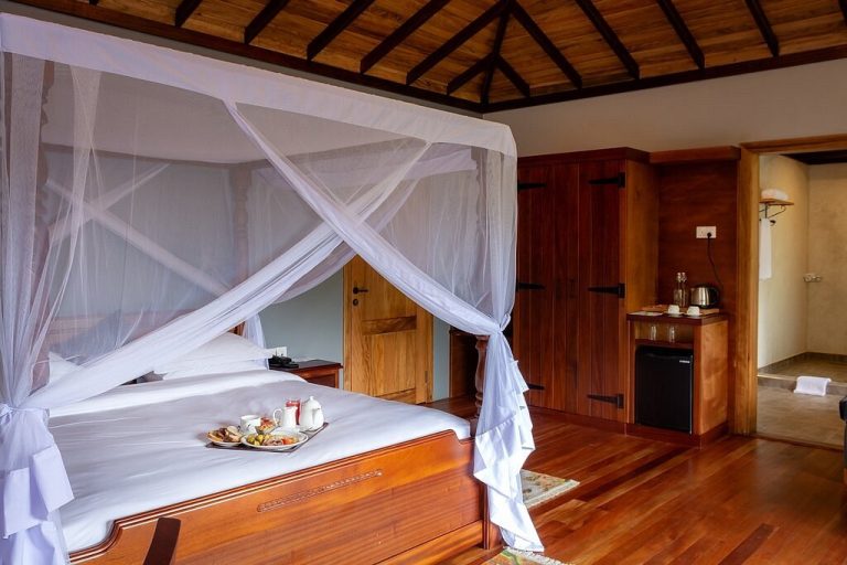 Turaco Treetops, Chimpundu Lodge or Papaya Lake Lodge