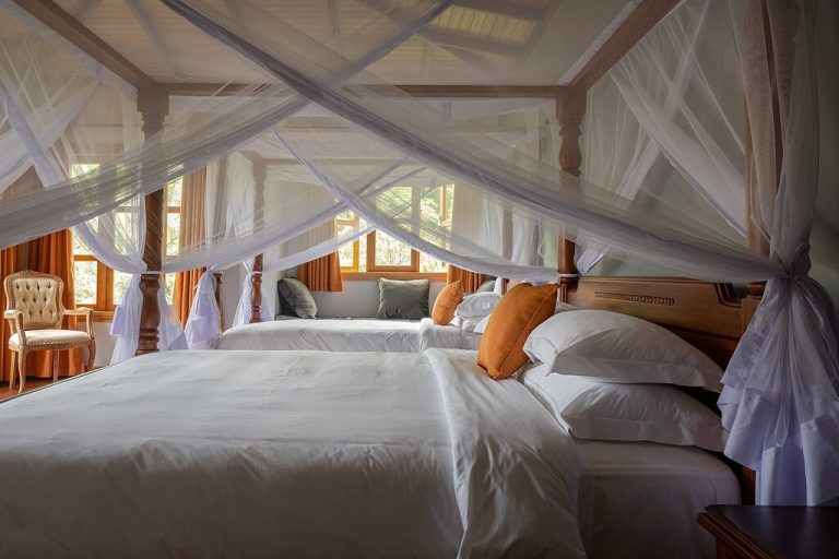 Turaco Treetops, Chimpundu Lodge or Papaya Lake Lodge