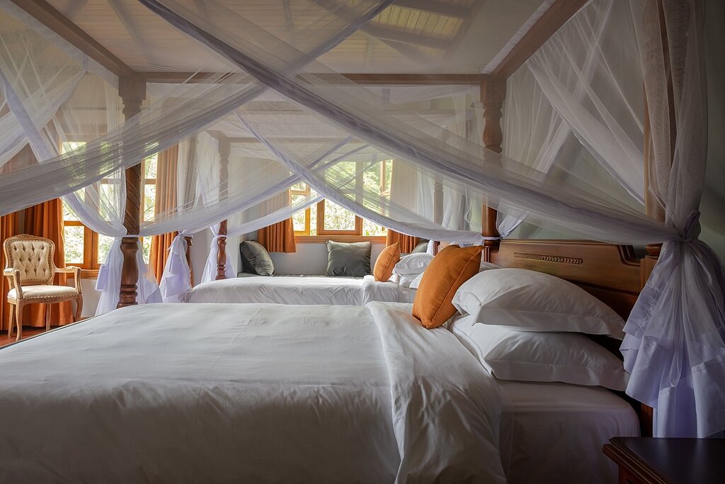 Turaco Treetops, Chimpundu Lodge or Papaya Lake Lodge